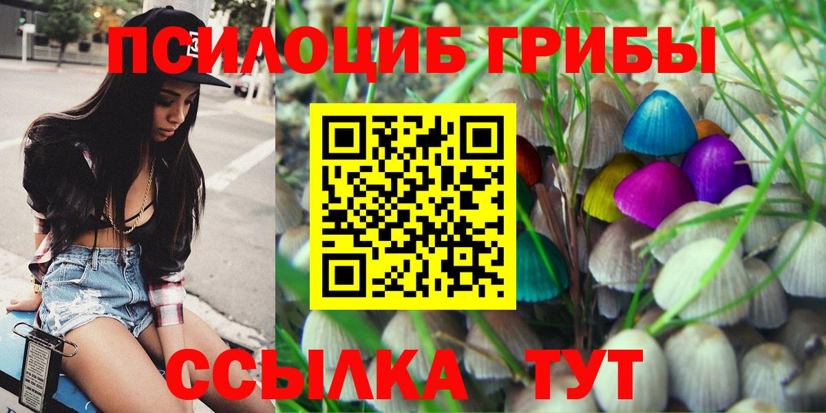 Галлюциногенные грибы прущие грибы  наркотики  Галлюциногенные грибы ЛСД  Александров  Вход с VPN 