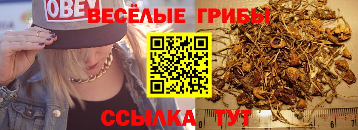 Псилоцибиновые грибы прущие грибы Александров